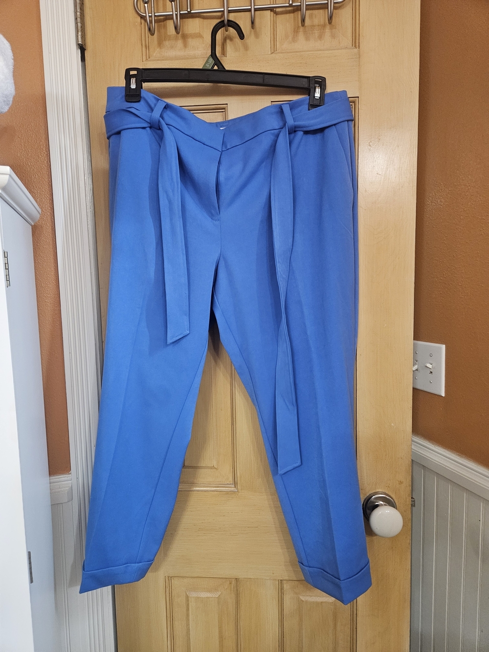 LOFT Electric Blue Tie-Waist Tapered Pants - Petite